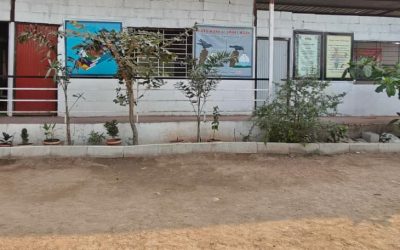 Shaheen Angel English Medium School