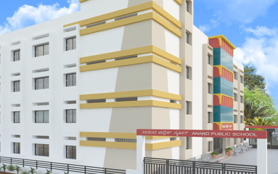 Vision – Shaheen Academy